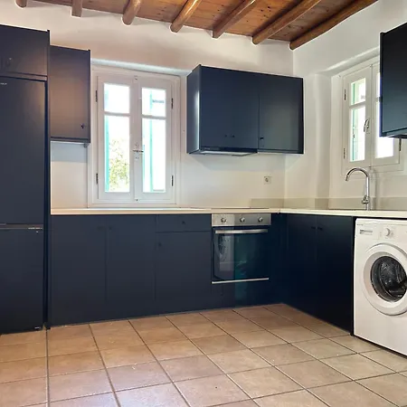 Mykonos 2 Bedroom House With Swimming Pool אורנוס