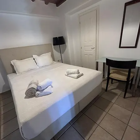 Mykonos 2 Bedroom House With Swimming Pool Apartment