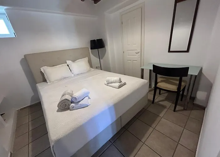 Mykonos 2 Bedroom House With Swimming Pool Apartment